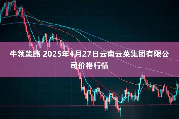 牛领策略 2025年4月27日云南云菜集团有限公司价格行情