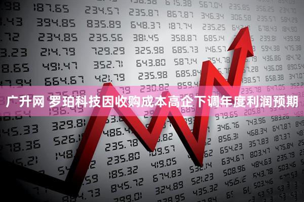 广升网 罗珀科技因收购成本高企下调年度利润预期