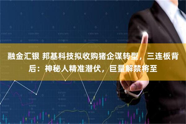 融金汇银 邦基科技拟收购猪企谋转型,三连板背后:神秘人精准潜伏,巨量解禁将至