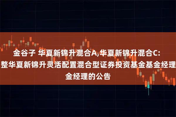 金谷子 华夏新锦升混合A,华夏新锦升混合C: 关于调整华夏新锦升灵活配置混合型证券投资基金基金经理的公告